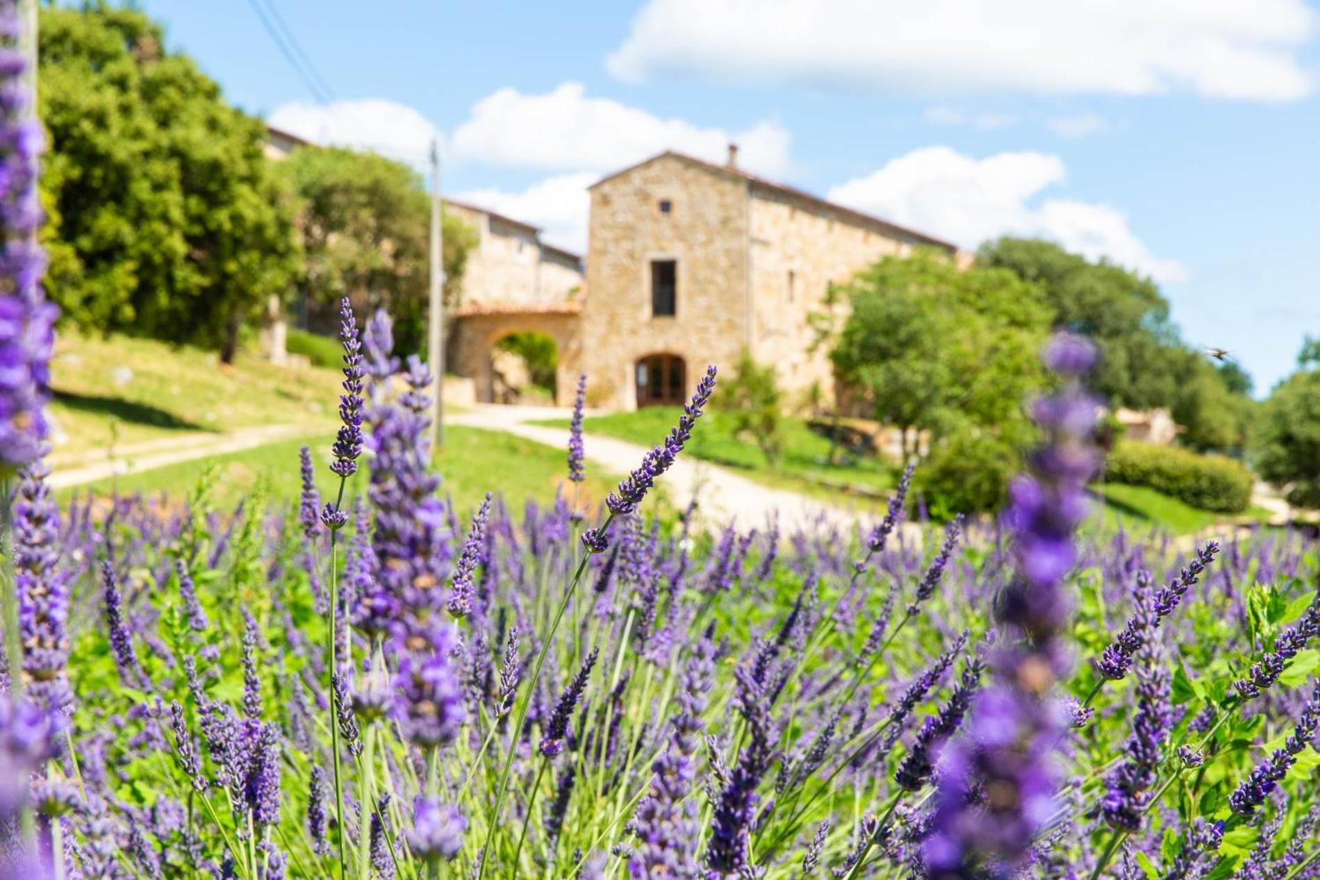 Holiday home Domaine De L Astic Vallon-Pont-d'Arc